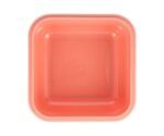 Caja almuerzo Grande | Wild Fairies - Imagen 3
