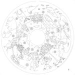 Recarga de 20 hojas para colorerar - Adventure Mates - The Drawin'table Home Edition - Imagen 4