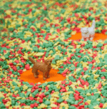 BOTELLA SENSORIAL | SPY Pets - Imagen 7