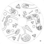 Recarga de 20 hojas para colorerar - Little Friends - The Drawin'table Home Edition - Imagen 5