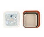 3 cajas almuerzo | Geometric Nature - Imagen 3