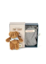 TINY | Teddy