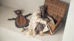 Sonajero | OSO - Imagen 2