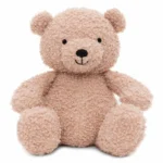 Peluche Osito Teddy | WILD ROSE