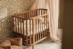 Musical | TEDDY BEAR - WILD ROSE - Imagen 2