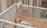 Musical | LAMB - Imagen 2