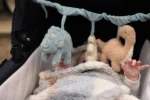 Cadena para carrito | ROARSOME - Imagen 2