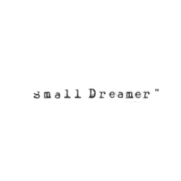 Todas las marcas logo smalldreamer