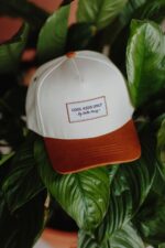 Gorra | MINI - Beige - Imagen 6