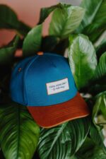 Gorra | MINI - Beige - Imagen 28
