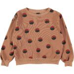 Sudadera afelpada - ALL OVER MOUNTAIN Wood