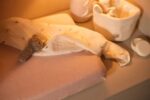 Pack x2 Muselinas 115cm | JUNGLE JAMBO - Imagen 6