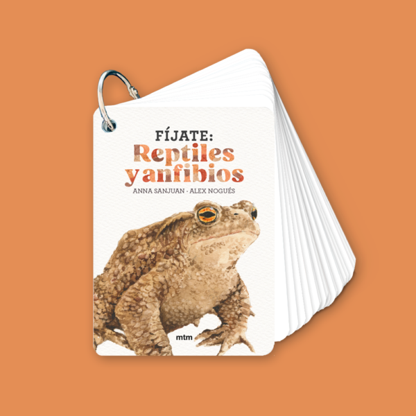 imgi_41_Fijate_reptiles_.png
