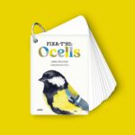 imgi_42_Fixa-thi_Ocells.jpeg