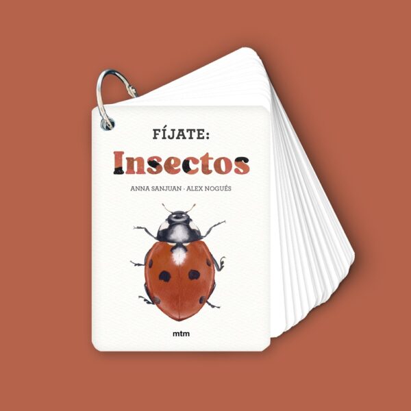 imgi_81_Fijate_insectos.jpeg