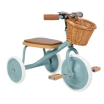 imgi_20_BW-TRIKE-TEAL-3.webp