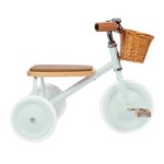 imgi_31_BW-TRIKE-MINT-1_7c9e3152-9413-43ca-9028-db797c5cbc4f.jpeg