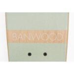 skateboard-banwood-mint6_5cf518e401b30a3742b966afa7798662.jpg
